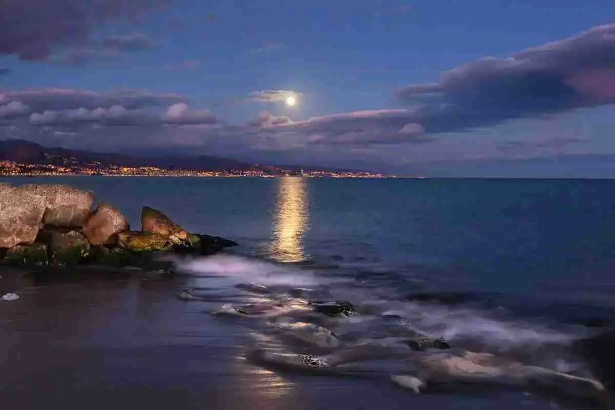 malaga strand på natten