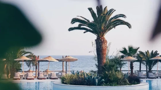 Beach Clubs in Marbella