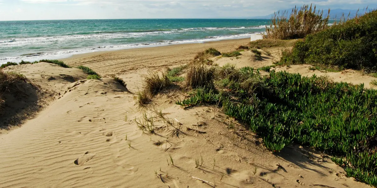 dunes de la plage d'Artola-Cabopino