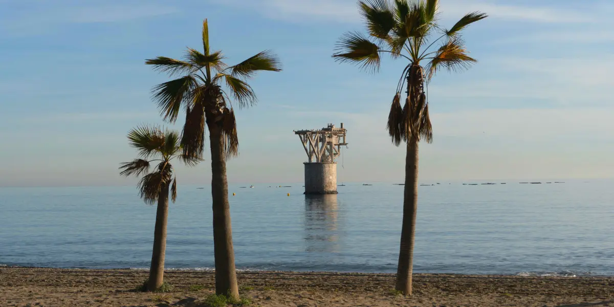 palmbomen op strand van Cable