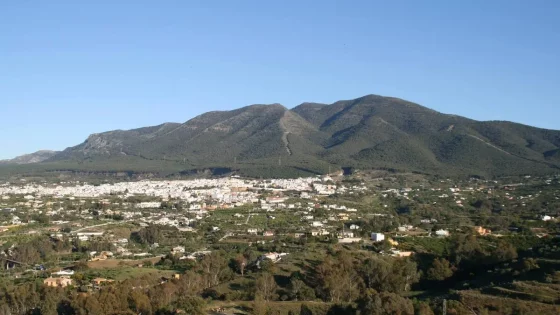 Alhaurín el Grande