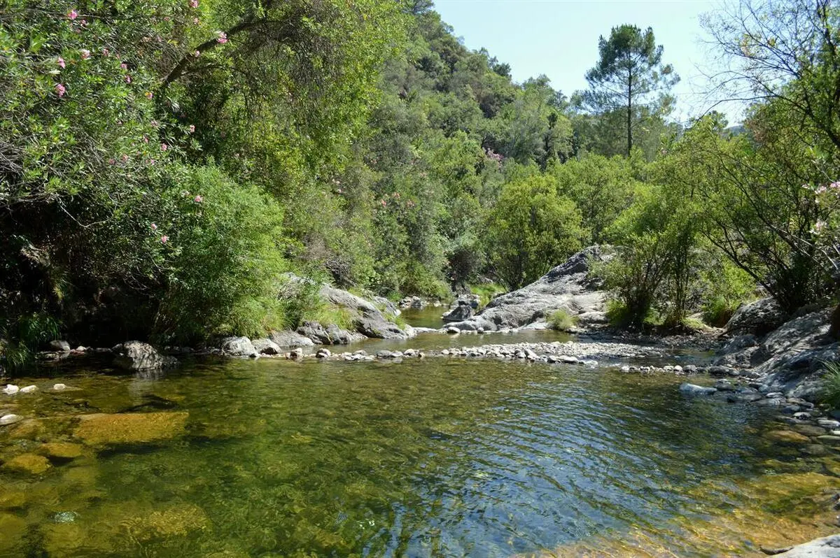 Charco del Canalón, a beautiful hiking route near Istán