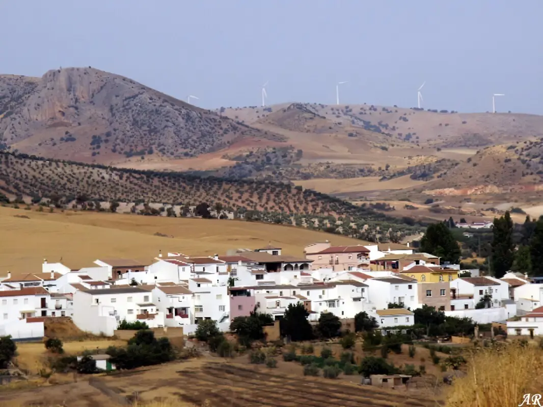 Golden fields of the village of Serrato