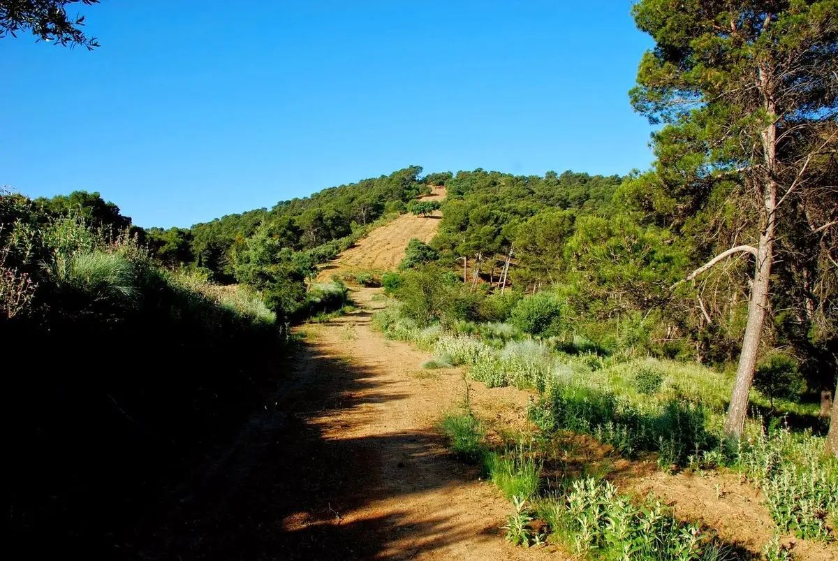 Wanderroute durch die Berge von Malaga