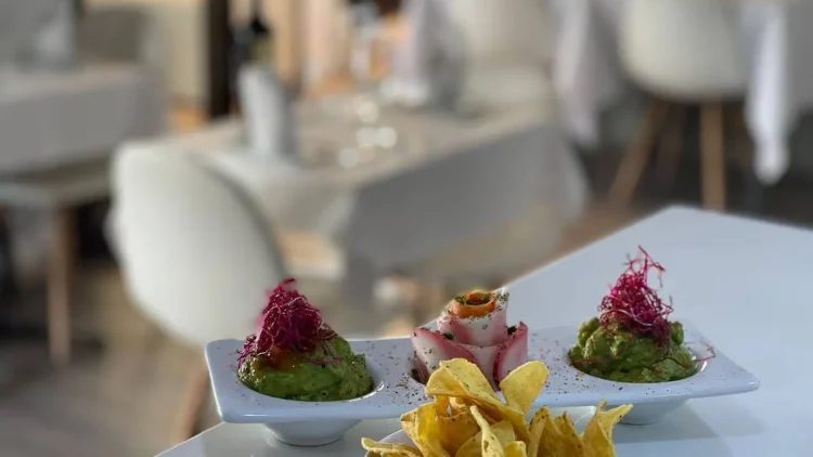 Gastronomi