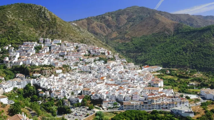 Alora
