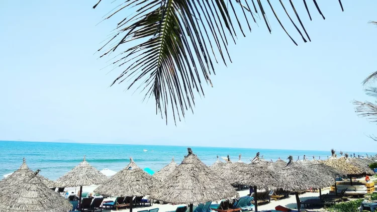 Beach clubs in Estepona