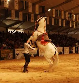 Ren andalusisk tradition ved det andalusiske hesteshow 