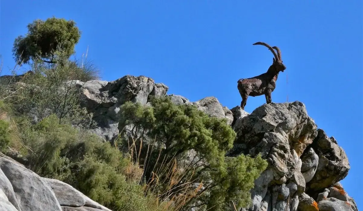 Impresionante escultura de una cabra montesa sobre una roca