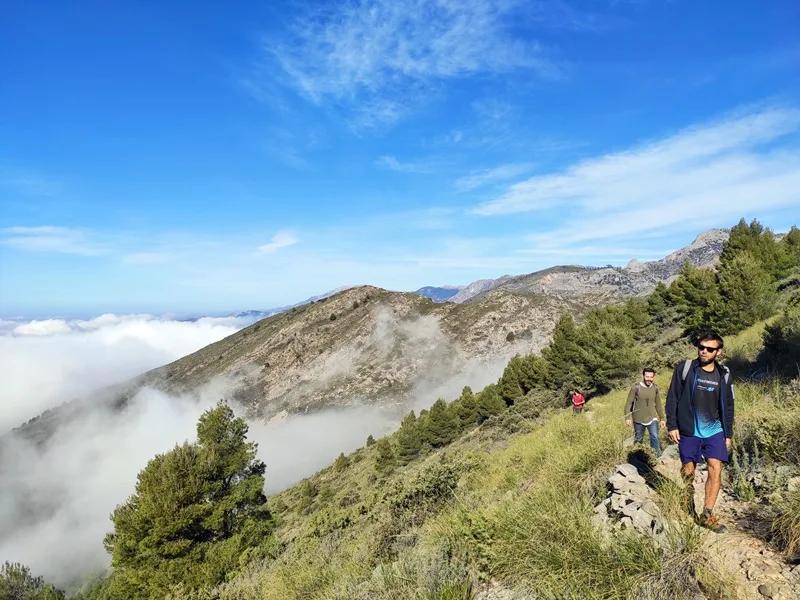 At high altitude, Pico del Cielo and its route will surprise you | 