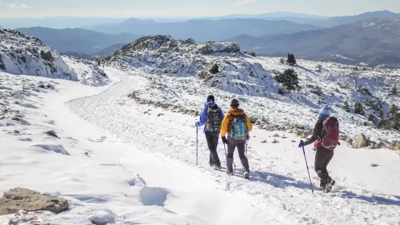 Sierra de las Nieves