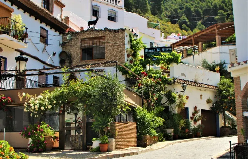 Alcaucín is sure to fascinate you with its rural charm | 