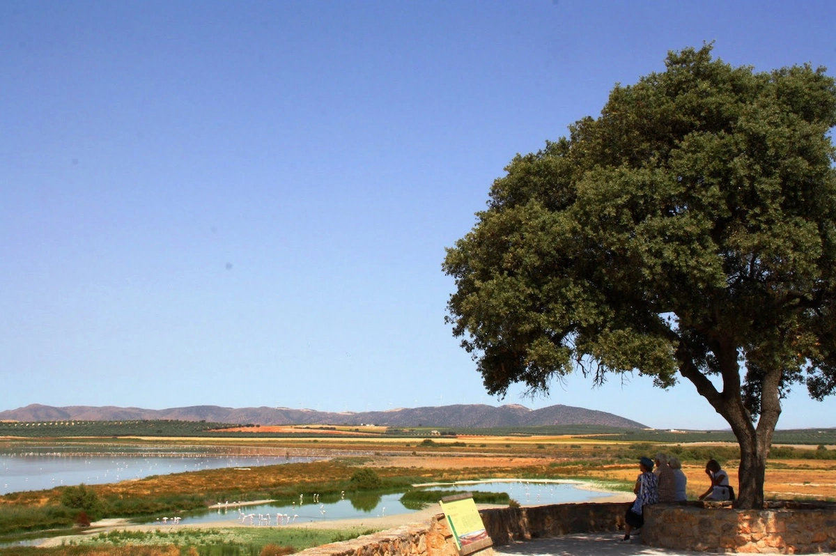Le mirador de Cantarranas, d'où l'on peut voir la vaste lagune | 