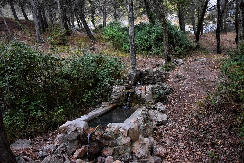 12 Kilometer Weg, Brunnen und mehr: Ruta Fuentes Hondaderos | 