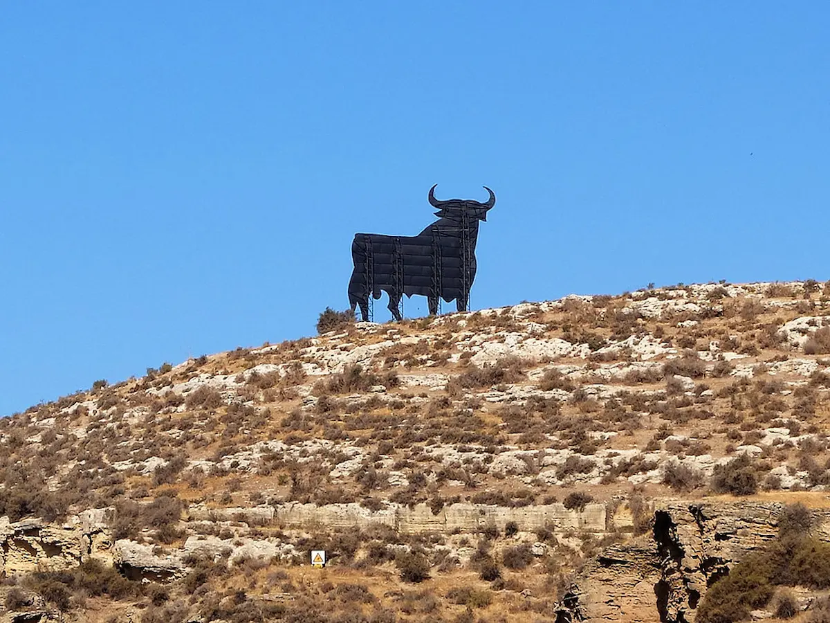 Osborne Bull, at the end of the route of the Peñon del Toro