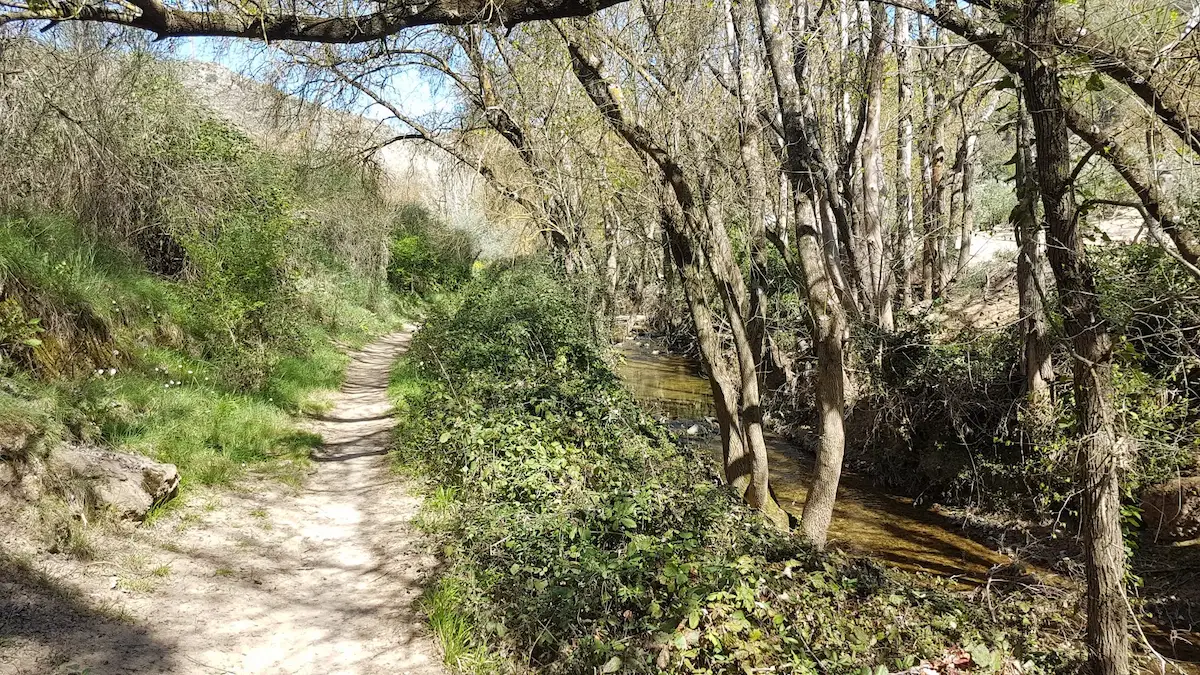 Pfad, der dem Lauf des Arroyo Marín folgt