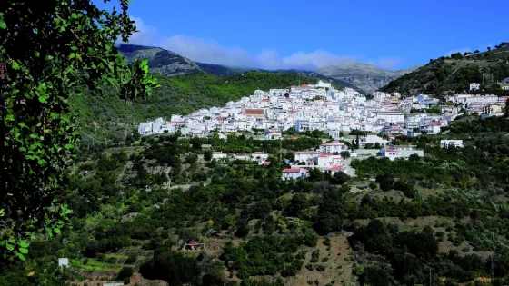 Canillas de Albaida