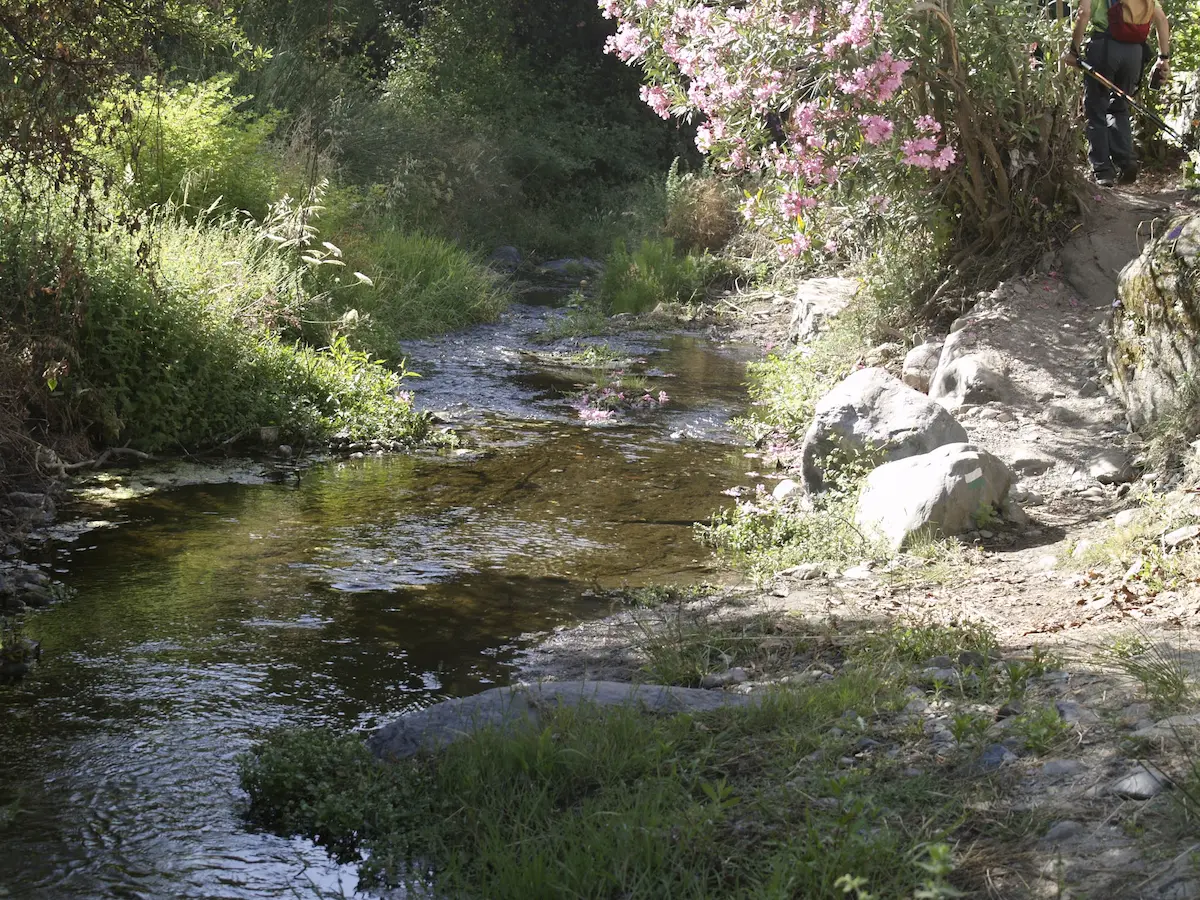 Flow of the river Turvilla surrounded by nature