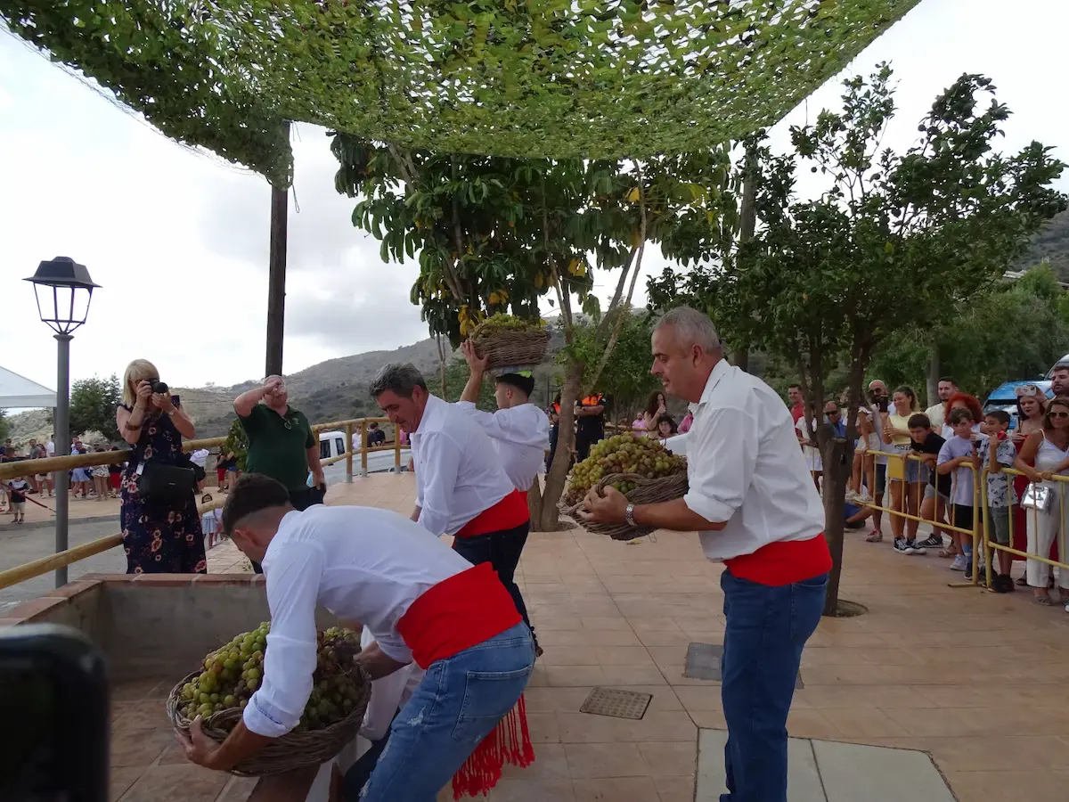 Celebración de la Fiesta de Viñeros, un evento tradicional