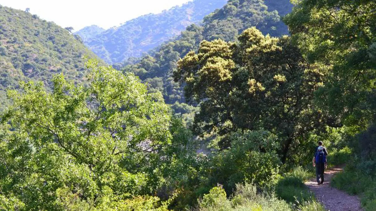 Afbeelding van de ongelooflijke en lommerrijke route van Las Cañadas de Ronda