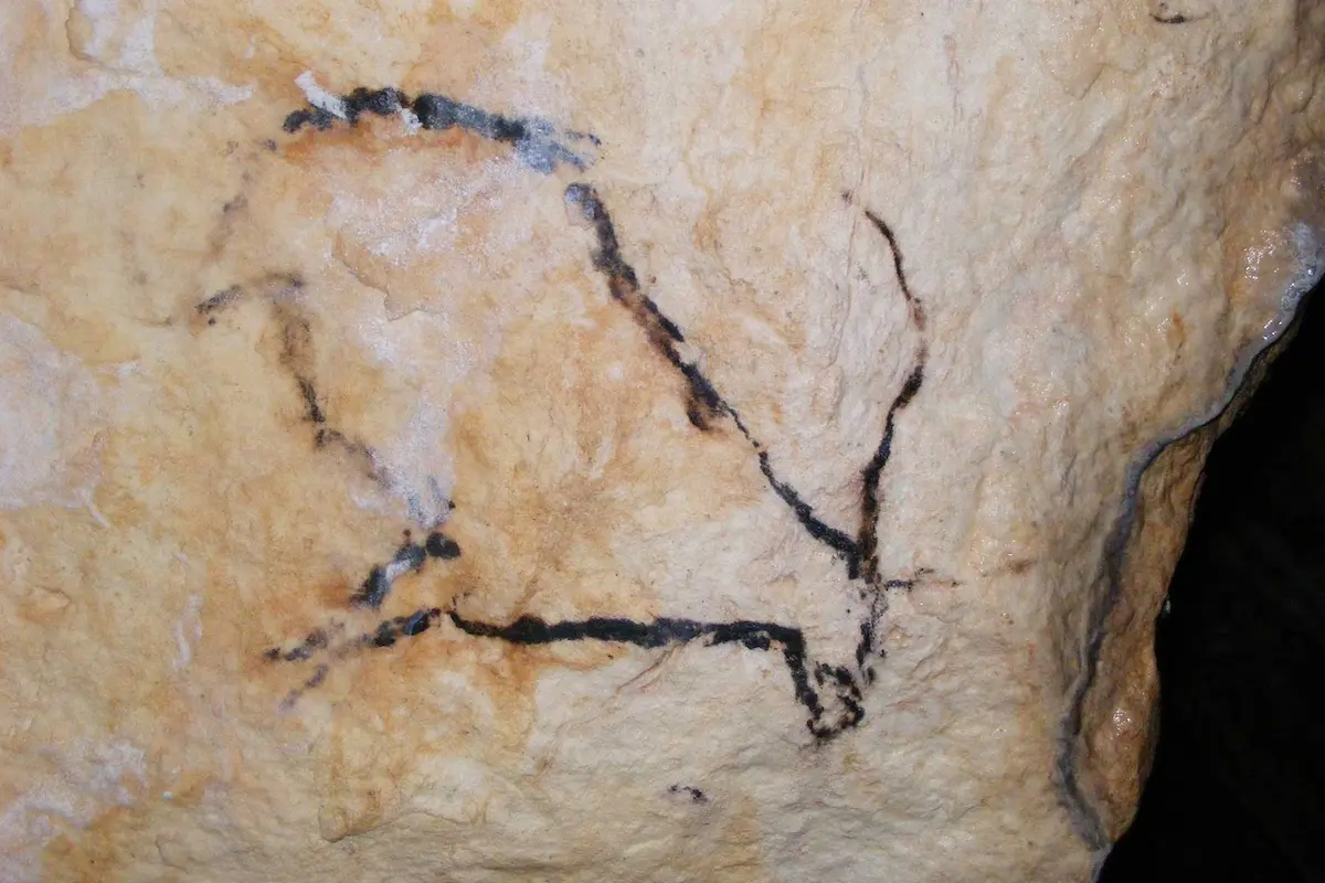 Grottmålningar i Cuevas de Nerja, mer än 42000 år gamla