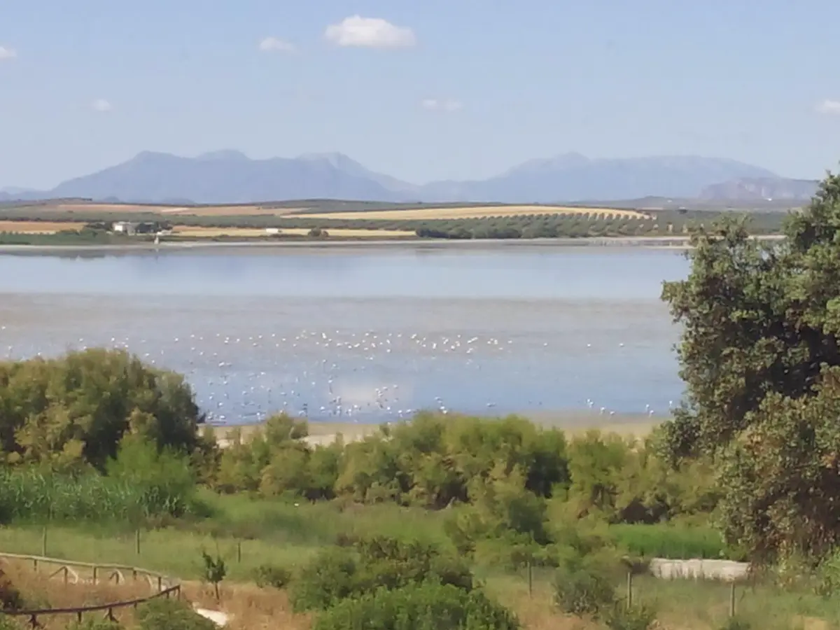 Ansichten von der Route von der Laguna Fuente de Piedra nach Humilladero