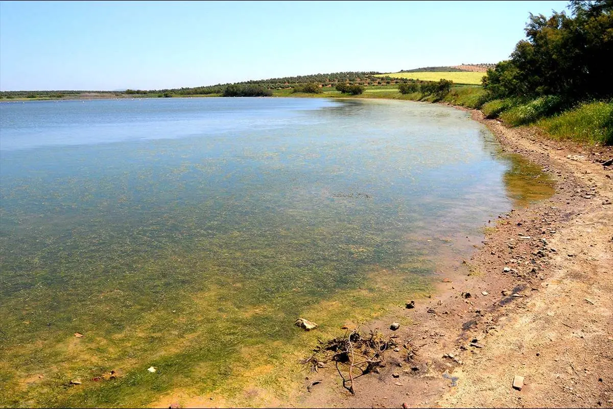 Laguna de Campillos à Malaga 