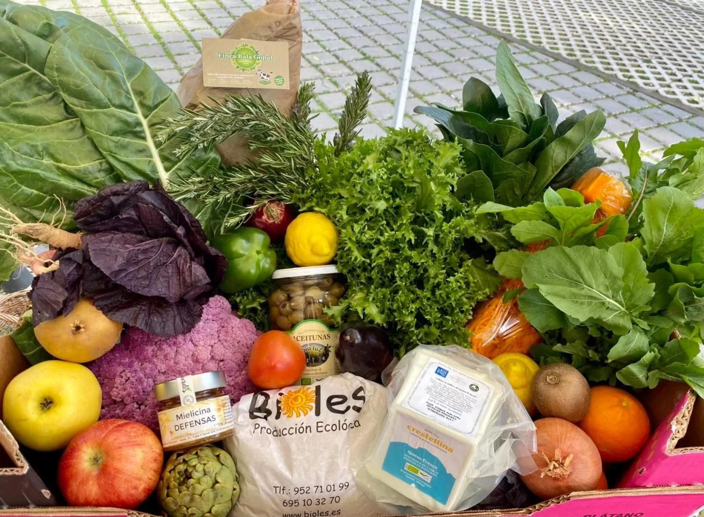 Korb mit Obst und Gemüse vom Biomarkt