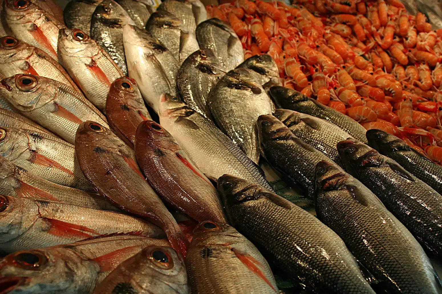 Pesce fresco al mercato di El Palo