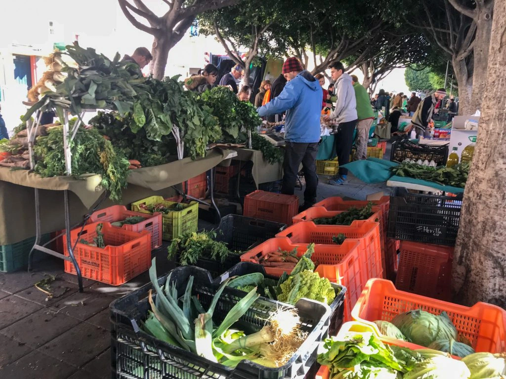 Verdure al mercato biologico di La Malagueta