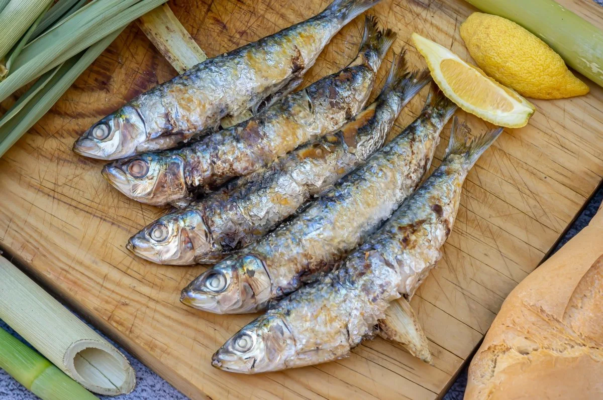 Espetos de sardinas, piatto tradizionale di Malaga alla griglia