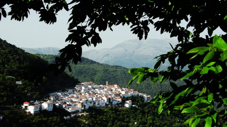 Algatocín
