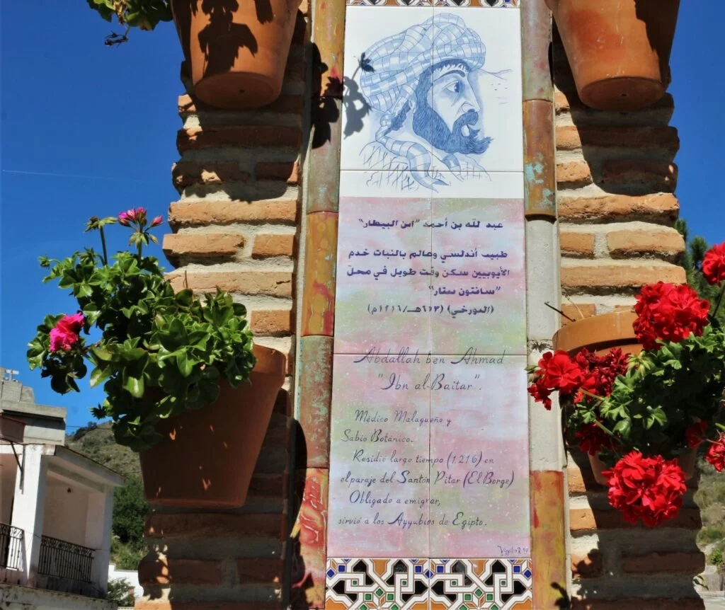 Retrato de Ibn Al-Baitar en El Borge