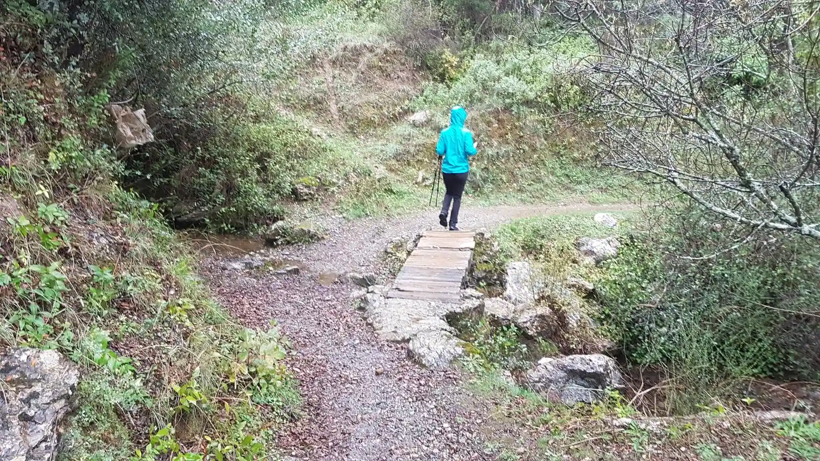 Rundwanderroute Benadalid - Benalauría