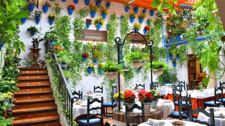 Restaurants in Cordoba