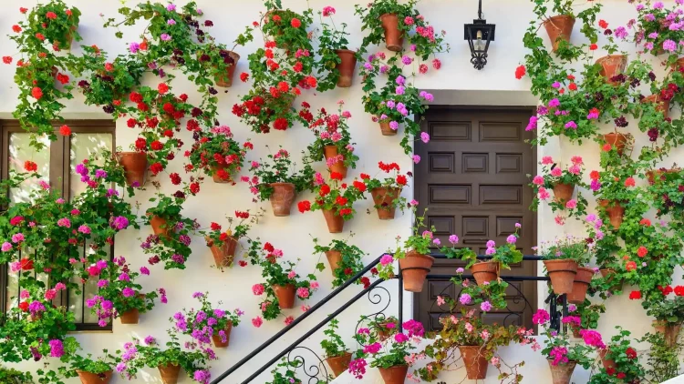 Patios di Cordoba