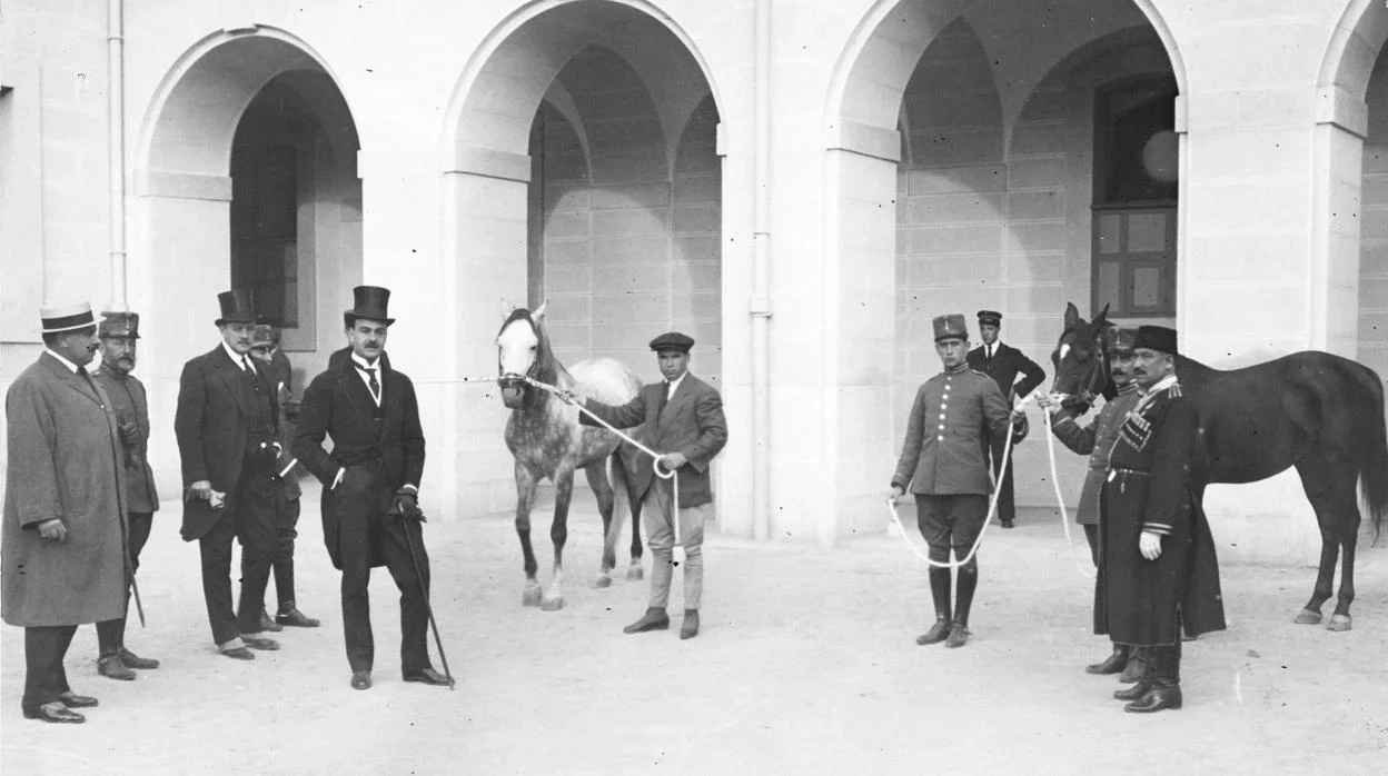 Zwei Vollblüter, die Alfons XIII. in den Caballerizas Reales in Córdoba geschenkt wurden
