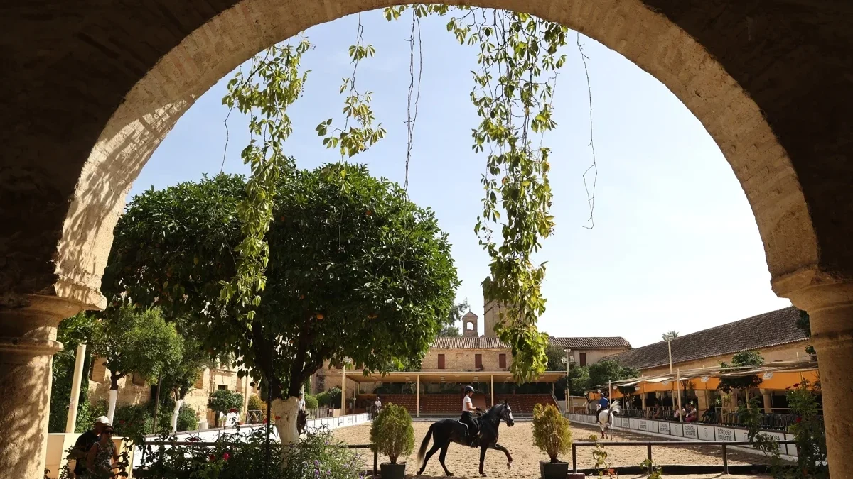 Caballerizas Reales en Córdoba