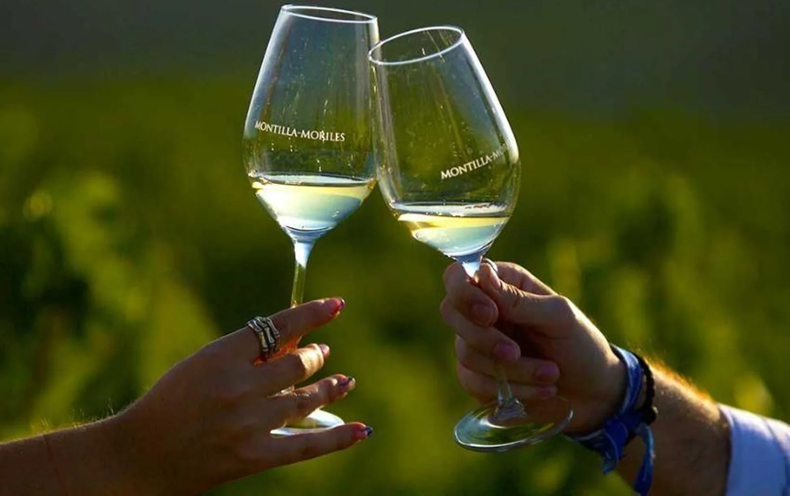 Probeer de beste Montilla-Moriles wijnen in Córdoba