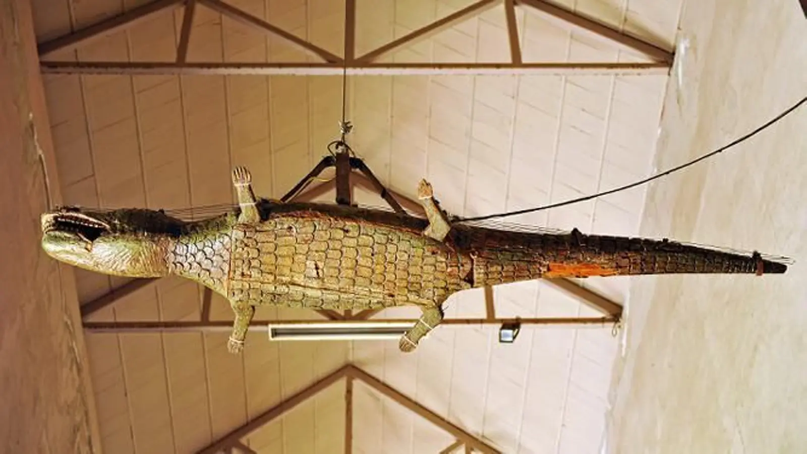 Crocodile suspendu à la Porte du Lézard dans la Cathédrale de Sevilla