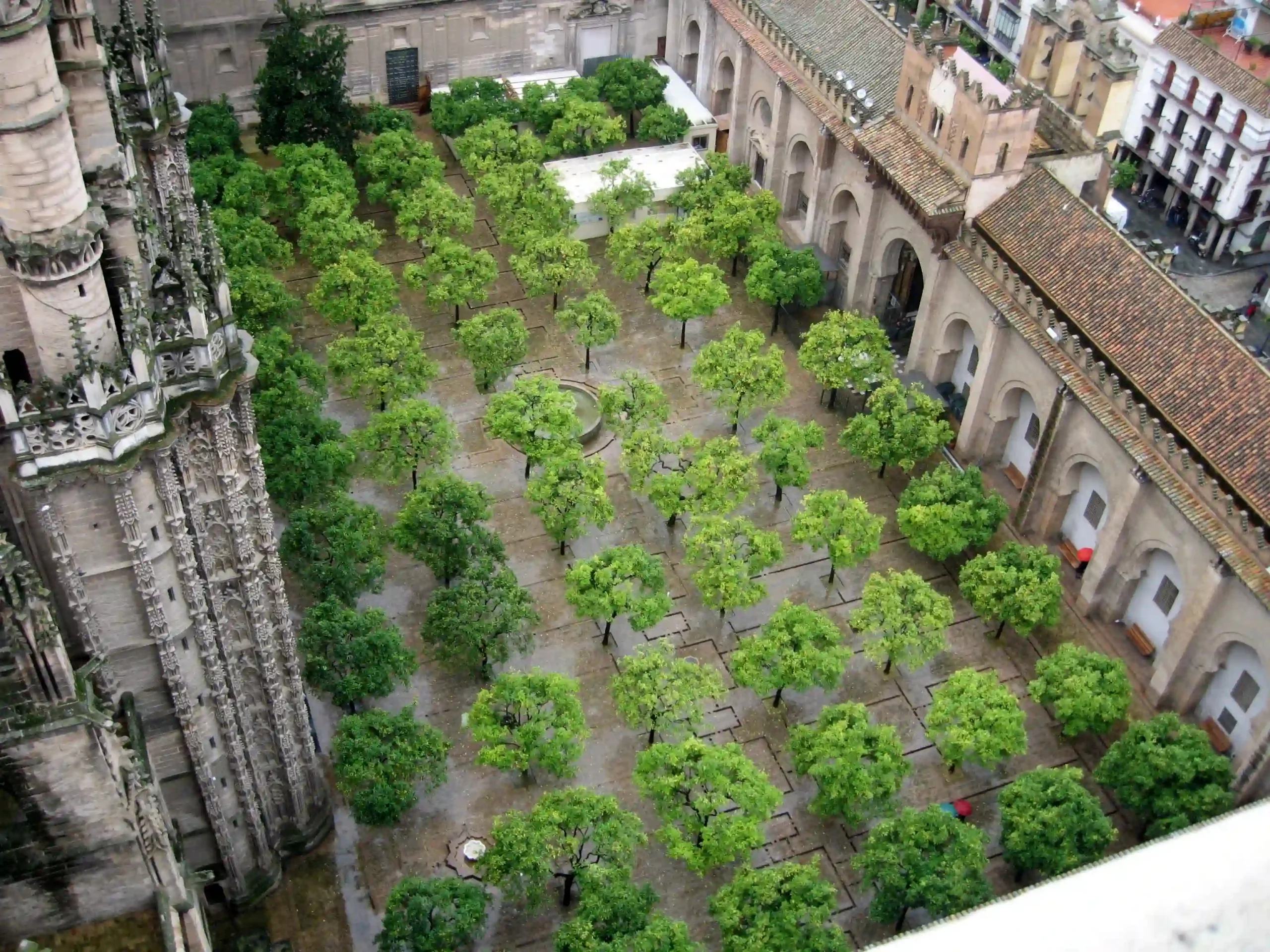 Patio de los Naranjos dans la Cathédrale de Sévilla