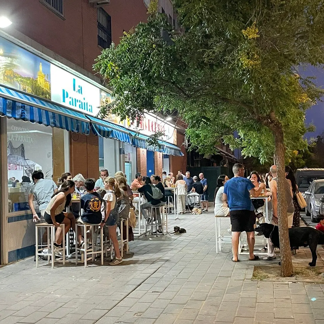 Prøv den bedste pescaito frito på Cervecería La Paraíta i Sevilla